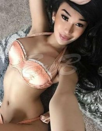TS NIKI LE Independent Female Escort In Queensland